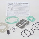 ROTAX 532 DECARBON KIT