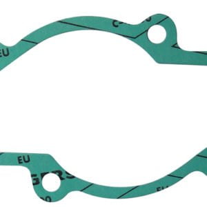 ROTAX 831-616 IMPELLER GASKET
