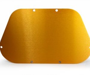 FACE PLATE GOLD (MAXI)