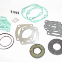ROTAX 994-865 GASKET SET ASSY.