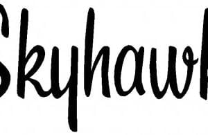SKYHAWK LOGO DECALS