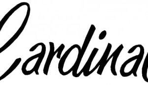 CESSNA CARDINAL DECAL