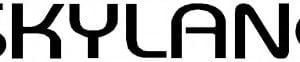 STANDARD SKYLANE DECAL - BLACK