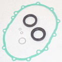 ROTAX 995-775 GASKET SET