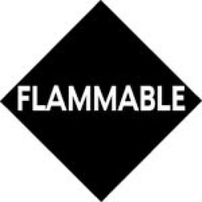 BF GOODRICH ICEX II FOR DE-ICERS - Image 2