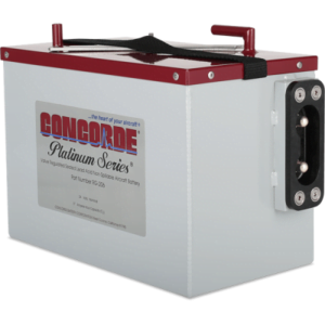 CONCORDE PLATINUM SEALED BATTERY RG-206