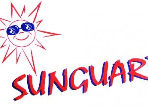 SUNGUARD SLAP ON SUN VISOR - 6 X 9