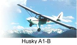 AVIAT HUSKY A1-B - Aerosistemas Mexico