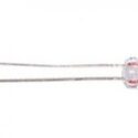 AML BULB 6838